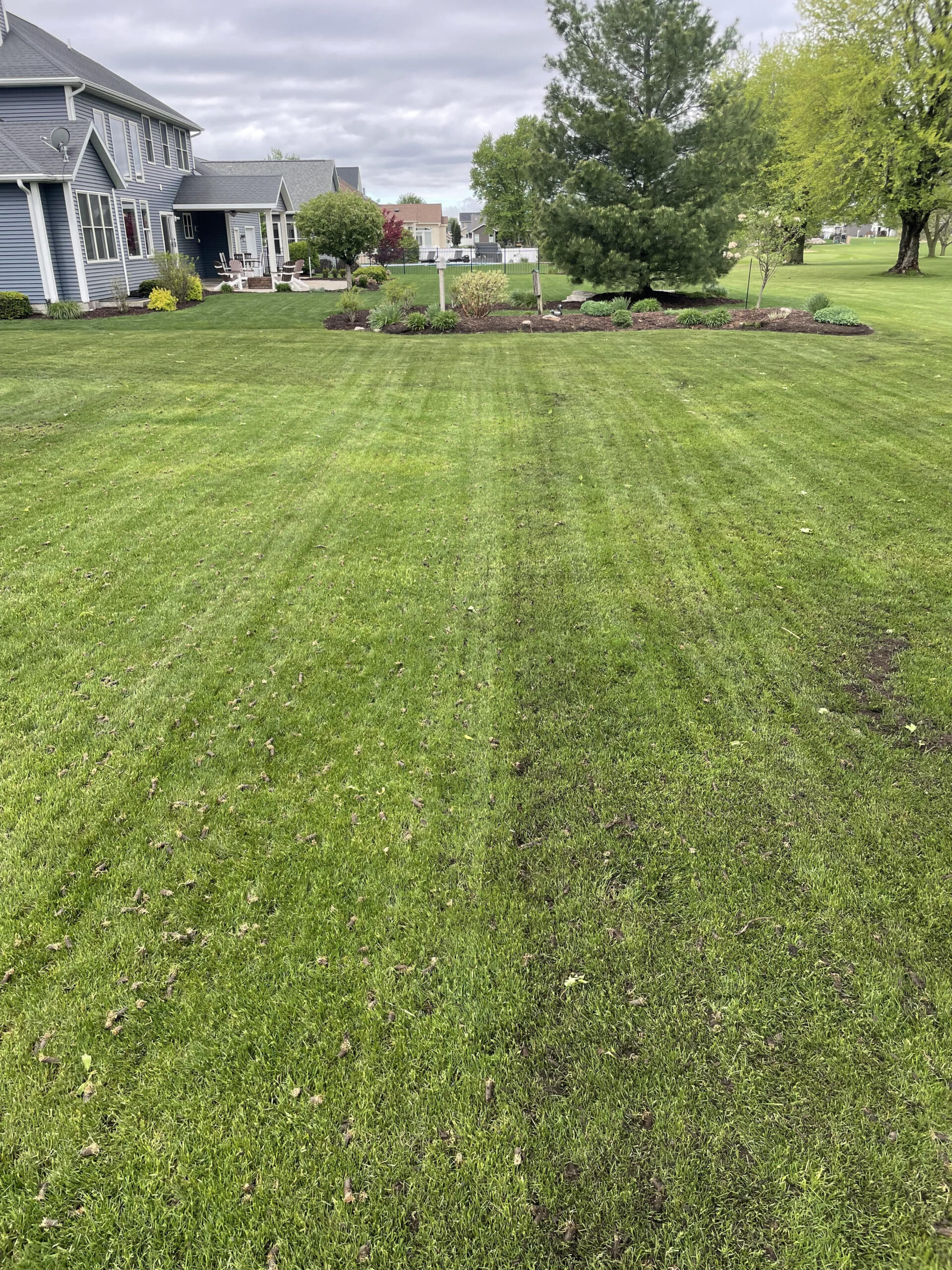 Aerating Yard